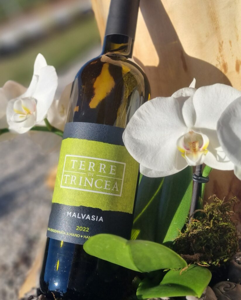 Malvasia Terre di Trincea Ortofrutticola Medea Agriturismo Alle Trincee Medea