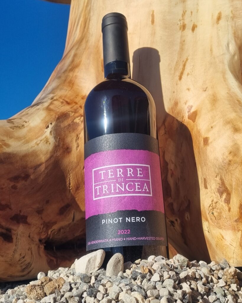 Pinot Nero Terre di Trincea Ortofrutticola Medea Agriturismo Alle Trincee Medea