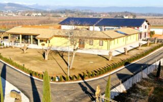 Agriturismo Alle Trincee Friuli Venezia Giulia Ristorante Medea Gorizia cucina tipica FVG