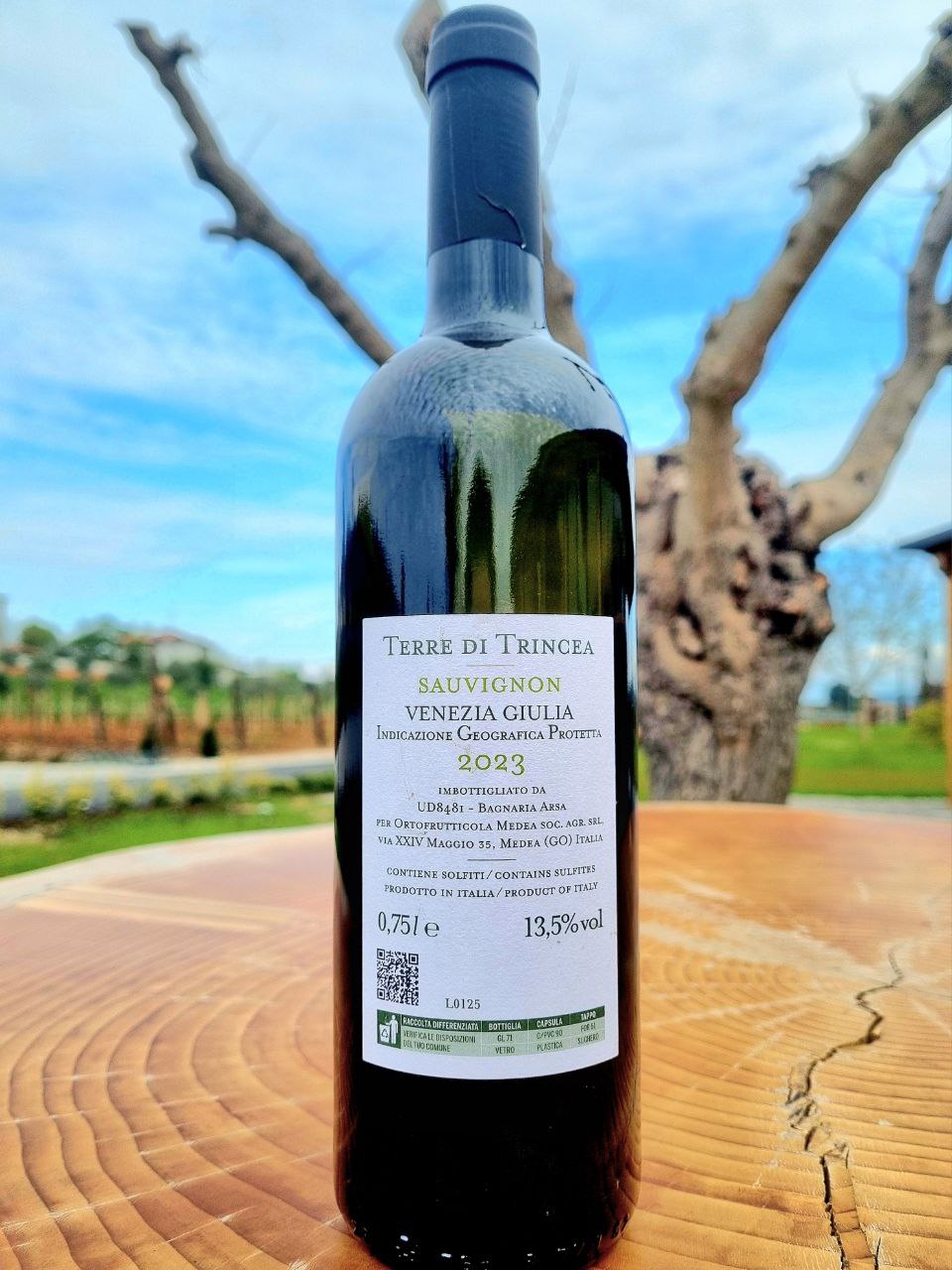 Vino Sauvignon Terre di Trincea Ortofrutticola Medea Agriturismo Alle Trincee Medea
