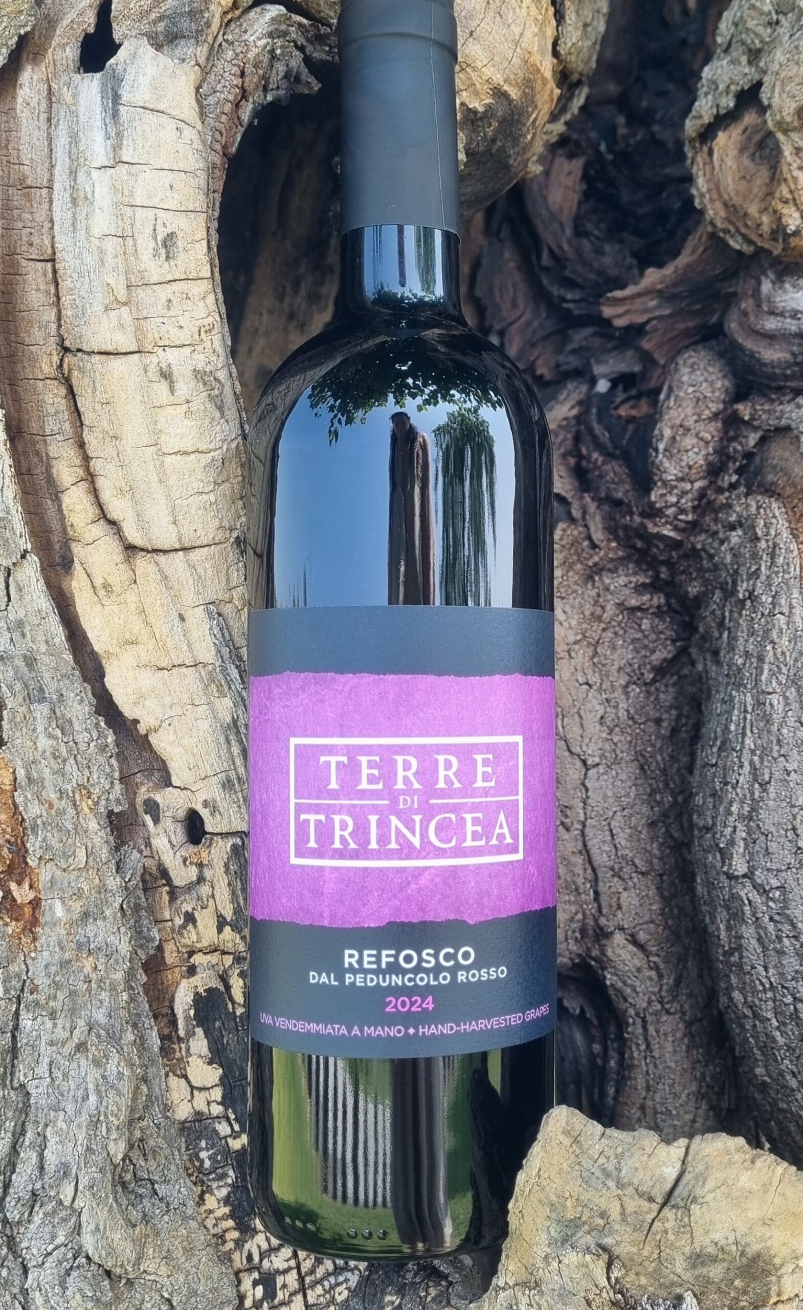Refosco dal Peduncolo Rosso Terre di Trincea