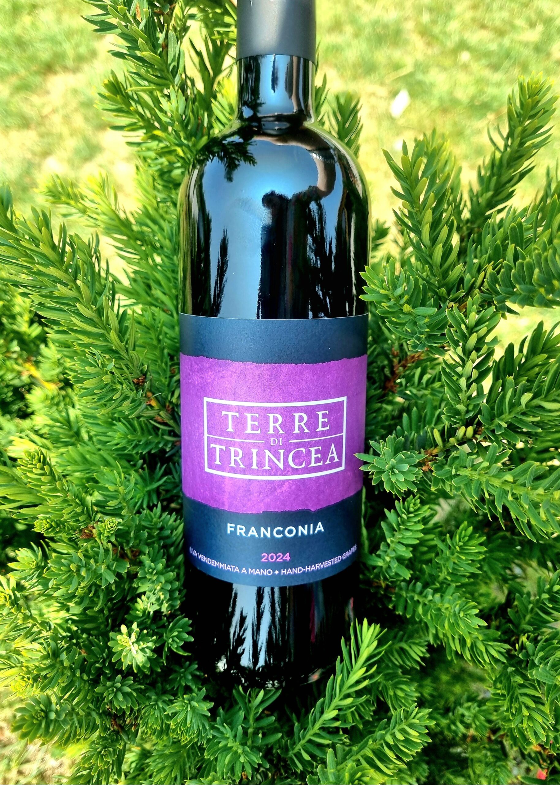 franconia Terre di Trincea Agriturismo Alle Trincee Ortofrutticola Medea io sono fvg friuli venezia giulia franconia Terre di Trincea Agriturismo Alle Trincee Ortofrutticola Medea io sono fvg friuli venezia giulia
